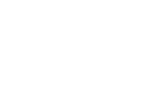BLuEngineering